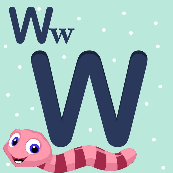 : w for worm alphabet letter w, ABC TO Z ,Colorful animal English alphabet letter w with a beautiful earth worm kids-books, study material - pre -school knowledge