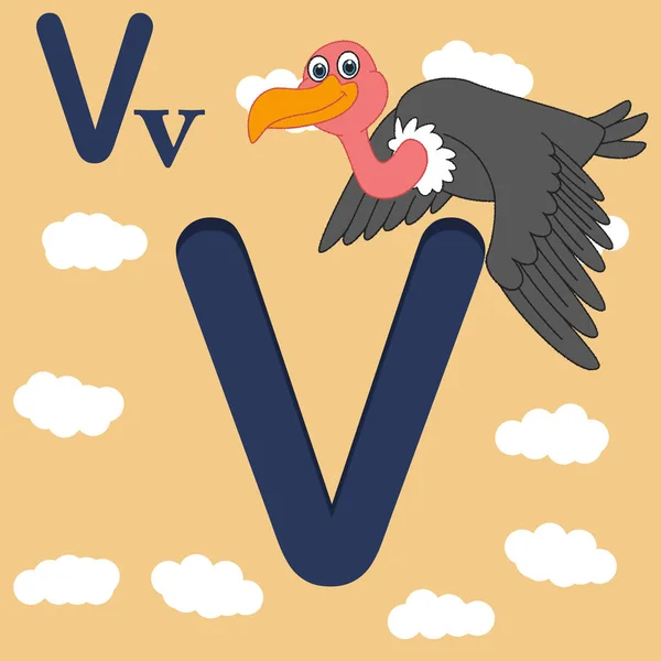 v for vulture alphabet letter v, ABC TO Z ,Colorful animal English  alphabet letter v with a beautiful vulture. kids-books, study material - pre -school knowledge .