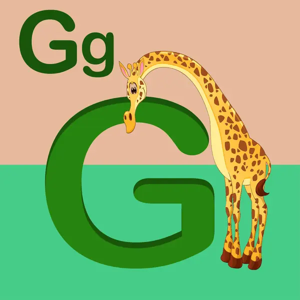 alphabet letter G, G for Giraffe . ABC TO Z , Colorful animal alphabet letter E with an giraffe.