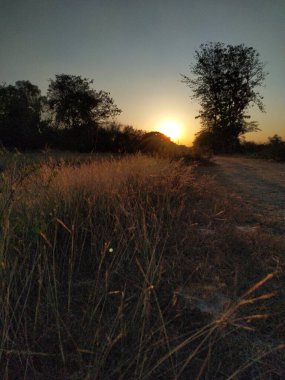 Parkta güzel bir gün batımı