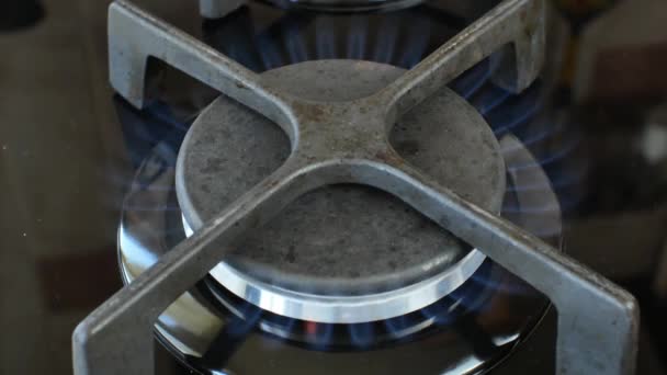 Large Gas Burner Home Stove Close Flame Roars Burns Quickly — Stock Video