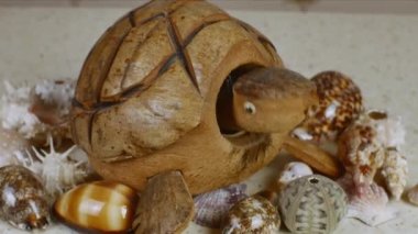Hindistan cevizinden yapılmış oyuncak bir kaplumbağa, sarı deniz kumuna benzer bir yüzeyi olan bir masada güzel deniz kabuklarıyla çevrili kafasını sallar. Doğal maddelerden elde edilen el sanatları kavramı..