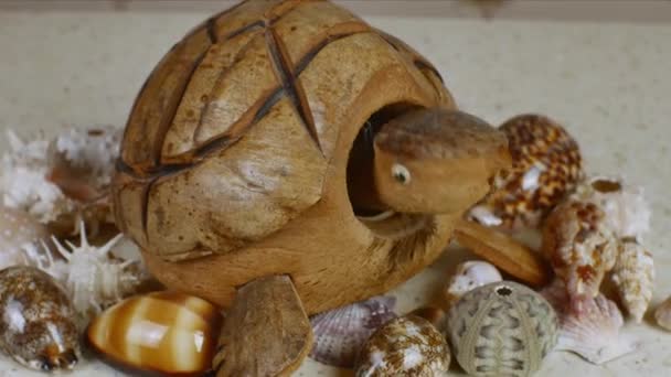 ココナッツ製のおもちゃのカメは 黄色の海の砂に似た表面を持つテーブルの上に美しい貝殻に囲まれて頭を振る 自然素材のものづくりの概念 — ストック動画