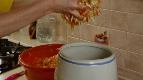 Housewife Puts Chopped Mixed Red Carrots White Cabbage Small Ceramic — Stock Video