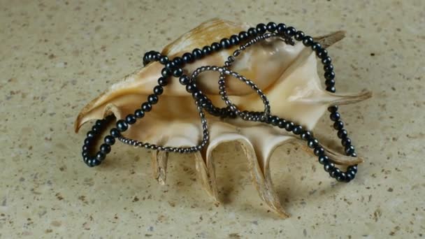 美しい黒真珠のブレスレットと黒真珠の長い文字列のパノラマのクローズアップは 大きな海のシェルの上に美しく休んでいます 海の黒真珠の製品の概念 — ストック動画
