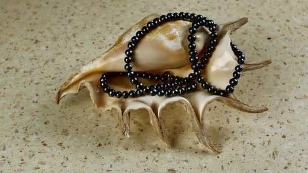 一个美丽的大海壳包裹着一串长长的黑色珍珠 躺在桌子上 模仿着海砂 女性珠宝的概念是由黑色珍珠制成的 — 图库视频影像