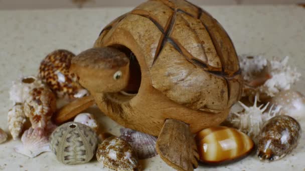 Model Turtle Made Coconut Shell Shakes Its Head Colorful Sea — Stock Video