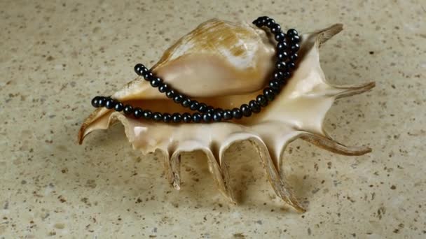 Eine Wunderschöne Schwarze Perlenkette Die Auf Einer Großen Muschel Ruht — Stockvideo