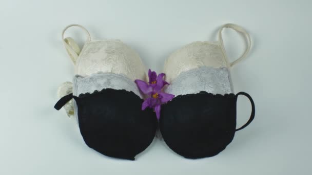 Bra Set Fashionable Women Underwear Women Concept Beautiful Comfortable Underwear — Stock Video