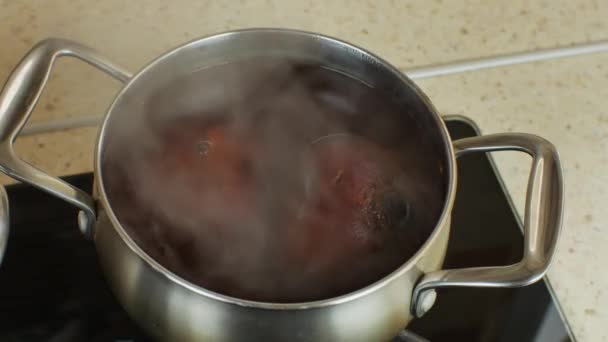 Gas Home Stove Red Beets Boiled Stainless Steel Saucepan Transparent — Video