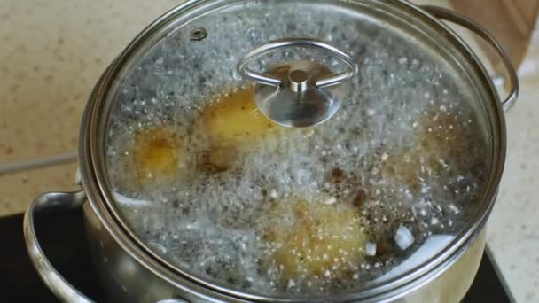 Aardappelen Wortelen Worden Gekookt Een Roestvrijstalen Metalen Pan Een Huisgasfornuis — Stockvideo