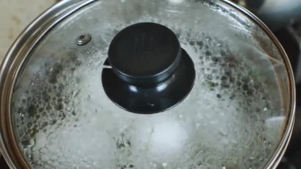 Iron Pan Boiling Water Which White Chicken Eggs Boiled Water — Stockvideo