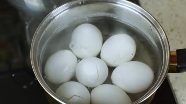 Белые Куриные Яйца Варят Кастрюле Нержавеющей Стали Прозрачной Стеклянной Крышкой — стоковое видео