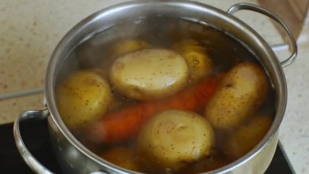 Potatoes Carrots Boiled Stainless Steel Metal Pan Home Gas Stove — Wideo stockowe