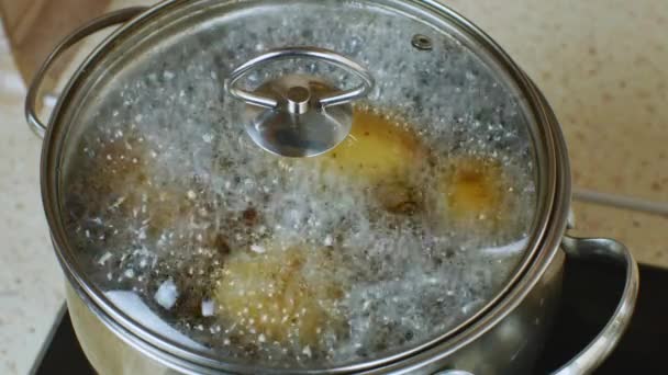 Cuisinière Gaz Avec Pommes Terre Carottes Bouillies Dans Une Casserole — Video