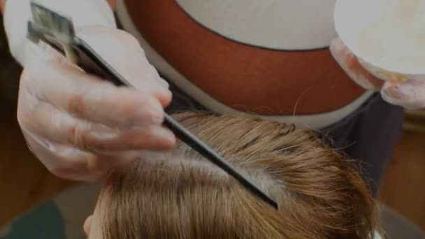 Maître Coiffeur Féminin Peigne Les Cheveux Des Femmes Les Teint — Video