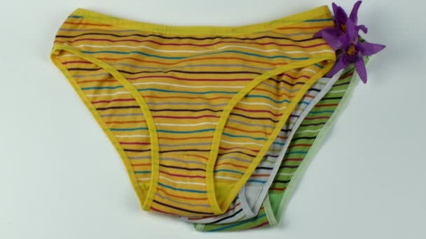 Set Three Classic Womens Cotton Panties Light Background Close Underwear — Video