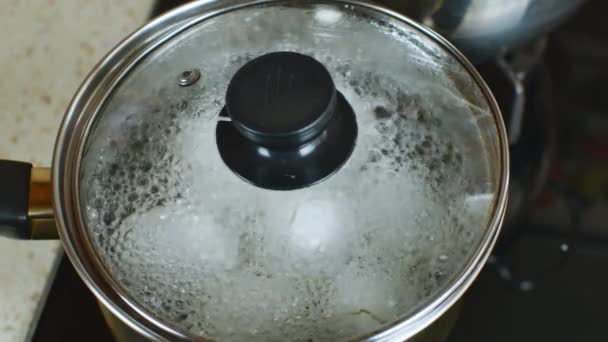 Panela Água Fervente Qual Ovos Frango Brancos Fervem Água Ferve — Vídeo de Stock