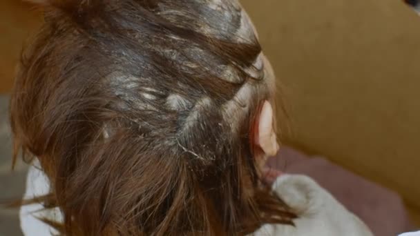Kobieta Fryzjer Farbuje Włosy Pędzlem Farbą Chemiczną Zbliżenie Rękę Mistrzów — Wideo stockowe