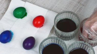 Ev hanımı tavuk yumurtalarını farklı renklerde boyar. Yakından bir kadın eli, beyaz tavuk yumurtalarını kırmızı mavi mor boyayla bardaklara yerleştiriyor. Paskalya tatili için beyaz tavuk yumurtası boyama fikri.