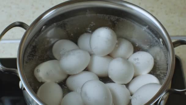 Los Huevos Pollo Blanco Hierven Agua Hirviendo Caliente Una Cacerola — Vídeos de Stock