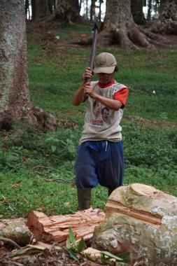 A man is cutting wood using ax