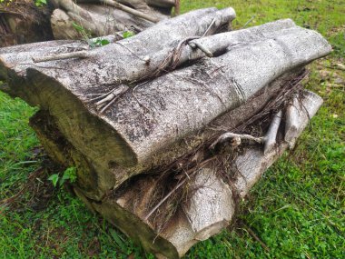 Banyan ağaç lif dokusu