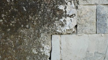 Korunmasız tuğla ve yosunlu yıpranmış bir duvar. Kentsel bozulma ve grunge kavramı