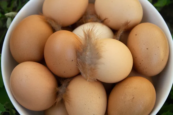 Çimlerin üzerinde beyaz bir tabakta güzel organik yumurtalar