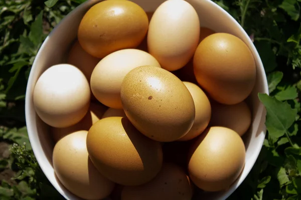 Красивые Органические Яйца Белой Тарелке Траве — стоковое фото