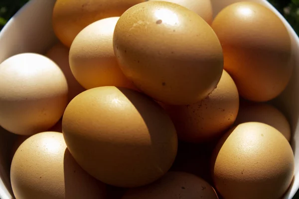 Όμορφα Βιολογικά Αυγά Ένα Λευκό Πιάτο Στο Γρασίδι — Φωτογραφία Αρχείου