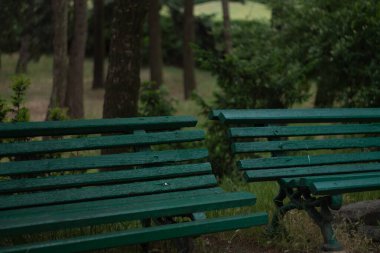 Parkta güzel bir bank manzarası 