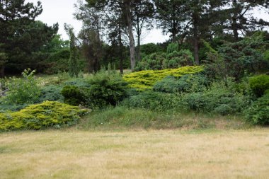 Parktaki güzel bahçe. 