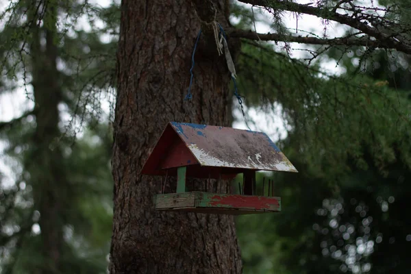 Ein Vogelfutterhäuschen Hängt Einem Baum — Stockfoto