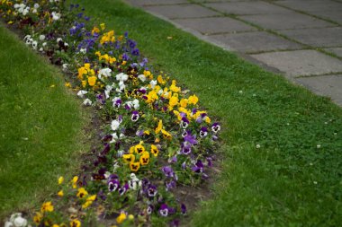 Çiçekli güzel bir bahçe.. 