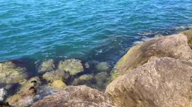 Barışçıl bir sahil videosu kayalık bir kıyıda yavaşça süzülen sığ dalgaları gösteriyor, doğanın dokusunu ve desenlerini vurguluyor..