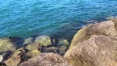 Kristal berraklığında okyanus dalgalarının parlak güneş ışığında büyük kıyı kayaları üzerinde yavaşça akışının yakın çekim videosu. Canlı mavi ve turkuaz renkler canlandırıcı, doğal bir sahne yaratır..