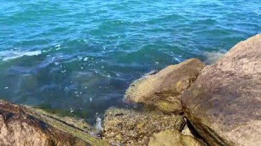 Parlak güneş ışığı kıyı kayalarının güzelliğini artırırken yumuşak dalgalar sakin bir okyanus ortamında kıyıya hafifçe vuruyor..