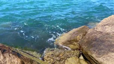 Denizin berraklığını ve doğal taş oluşumlarının güzelliğini yansıtan, kıyı boyunca güneşli kayalara vuran yumuşak dalgaların olduğu sakin bir okyanus manzarası..