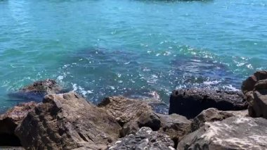 Yumuşak okyanus dalgaları parlak bir güneşin altında kayalık kıyılarda yuvarlanarak parıldayan yansımalar ve rahatlatıcı deniz kıyısı atmosferi yaratır..