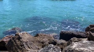 Çelik kemerli çürüyen bir iskele berrak okyanus suyunun üzerinde oturur, sahil boyunca bir gizem ve nostalji hissi uyandırır..