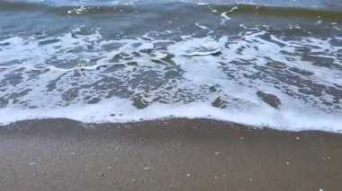 Bulanık ya da köpüklü suyla dolu okyanus dalgaları ıslak kumlu bir plaja yuvarlanarak ham kıyı doğasını ve gerçek dünya dokusunu gözler önüne seriyor..
