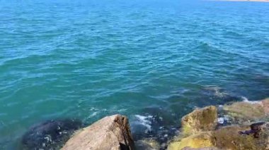 Bulanık ya da köpüklü suyla dolu okyanus dalgaları ıslak kumlu bir plaja yuvarlanarak ham kıyı doğasını ve gerçek dünya dokusunu gözler önüne seriyor..