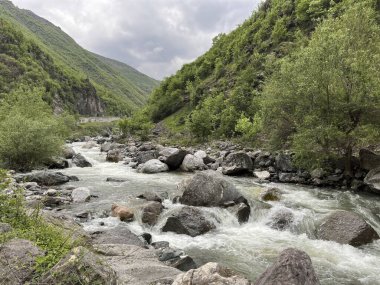 Kaya ve yoğun yeşil yapraklı hızlı akan nehir.