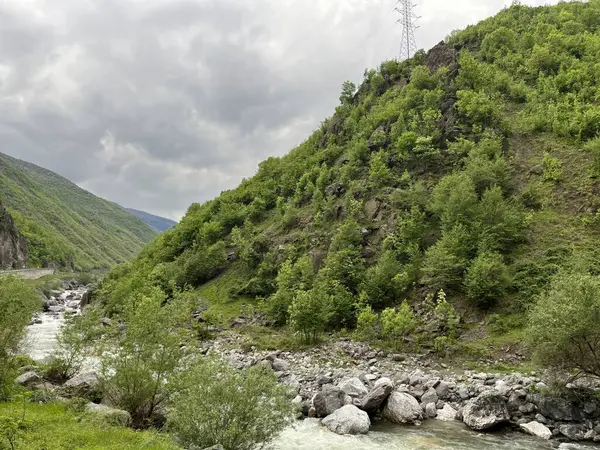 Etrafı kayalar ve yeşilliklerle çevrili temiz bir dağ deresi. Eko projeleri, sakin arka planlar ve doğa koruma temaları için ideal.