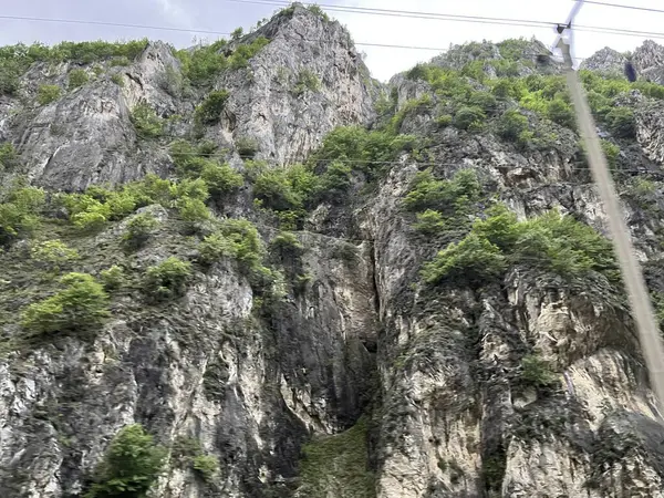 Yoğun yeşillikle yükselen kayalık tepeler. Doğa keşfi temaları, seyahat görselleri veya ekolojik ve jeolojik içerik için ideal.