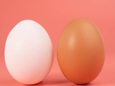 Pembe arka planda tavuk yumurtası. Pembe arka planda beyaz ve kahverengi yumurta. Yakın plan..