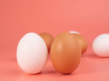Pembe arka planda tavuk yumurtası. Pembe arka planda beyaz ve kahverengi yumurta. Yakın plan..