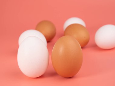 Pembe arka planda tavuk yumurtası. Pembe arka planda beyaz ve kahverengi yumurta. Yakın plan..