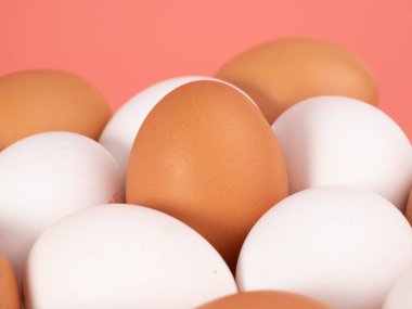 Pembe arka planda tavuk yumurtası. Pembe arka planda beyaz ve kahverengi yumurta. Yakın plan..